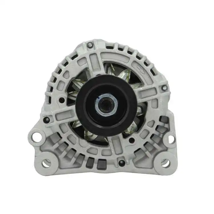 Alternator (305.517.070.010)
