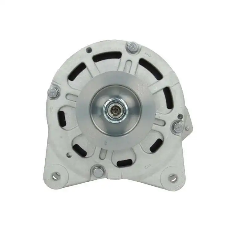 Alternator (205.448.190.080)