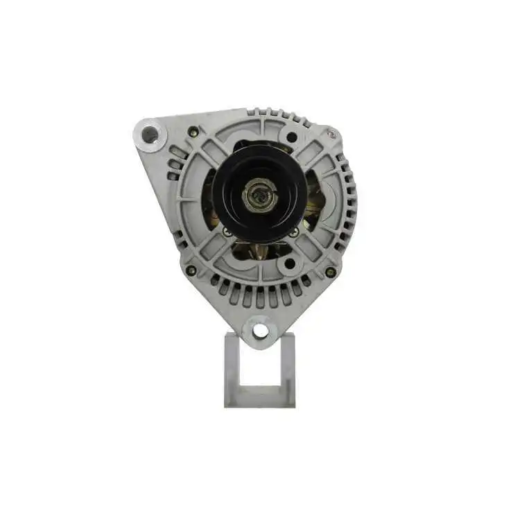 Alternator (555.502.090.010)