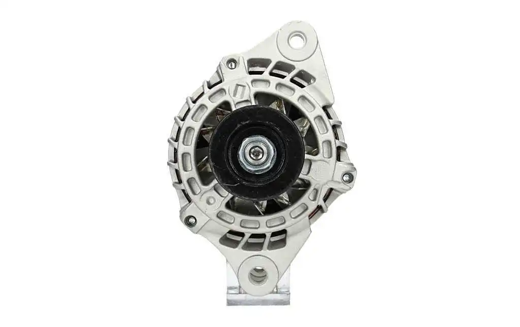 Alternator (495.501.100.050)