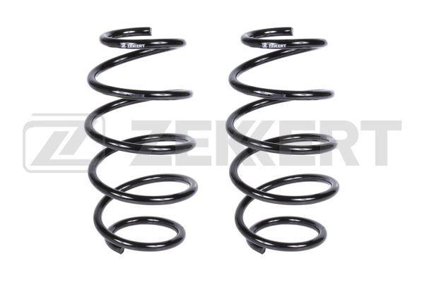 Suspension Spring (SF-2212)
