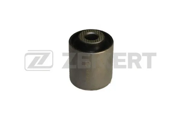 Mounting, control/trailing arm (GM-5484)