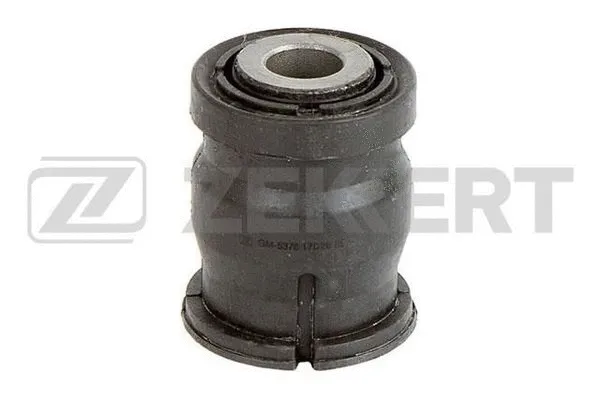 Mounting, control/trailing arm (GM-5376)