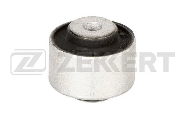 Mounting, control/trailing arm (GM-6694)
