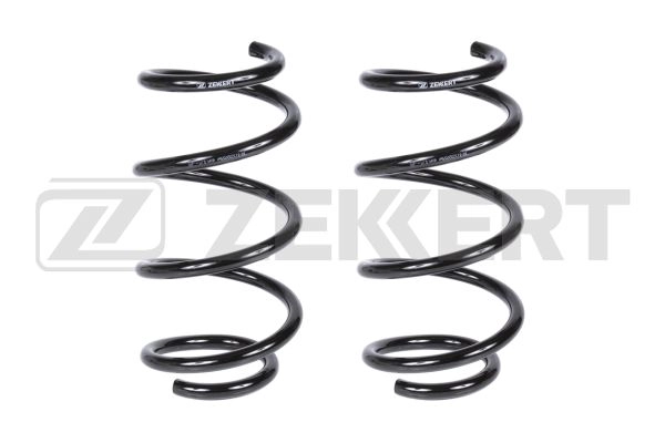 Suspension Spring (SF-2199)