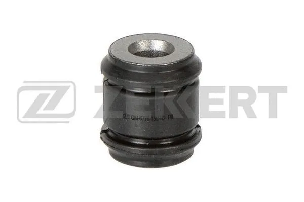 Mounting, control/trailing arm (GM-6779)