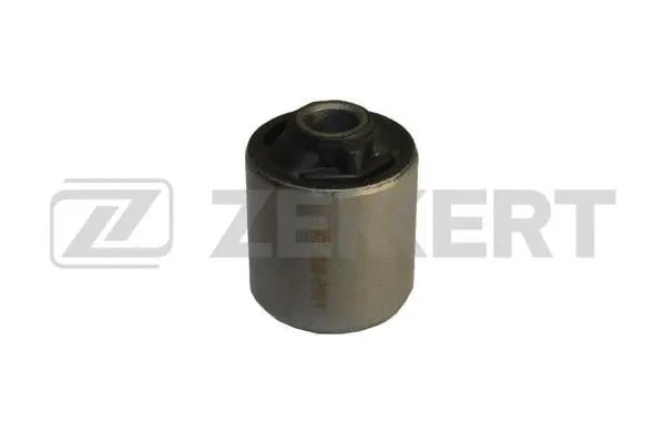 Mounting, control/trailing arm (GM-5981)