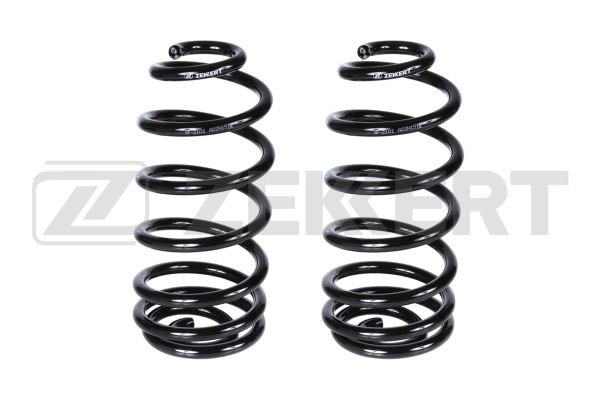 Suspension Spring (SF-2101)