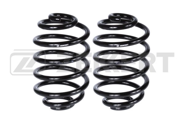 Suspension Spring (SF-2540)