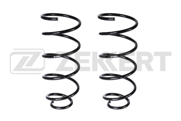 Suspension Spring (SF-2539)