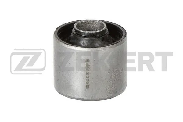 Mounting, control/trailing arm (GM-5725)