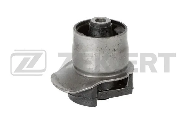 Bushing, axle beam (GM-5984)
