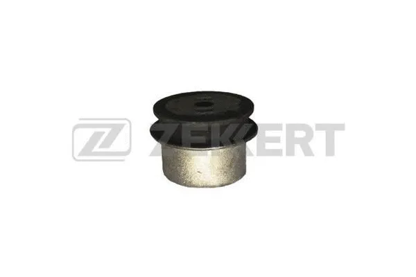 Mounting, control/trailing arm (GM-5086)