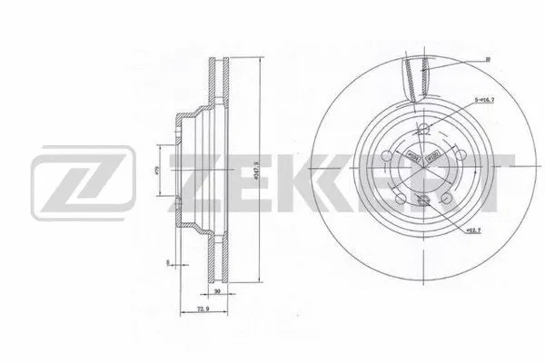Brake Disc (BS-6125)