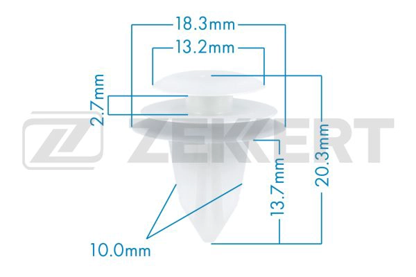 Clip, trim/protection strip