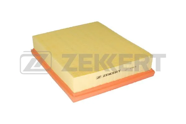 Air Filter (LF-1919)