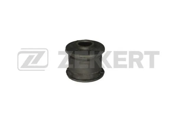 Mounting, control/trailing arm (GM-5634)
