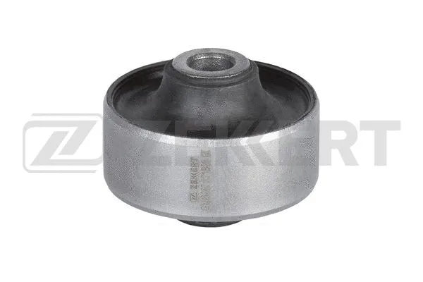 Mounting, control/trailing arm (GM-5067)