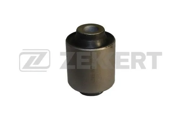Mounting, control/trailing arm (GM-5695)