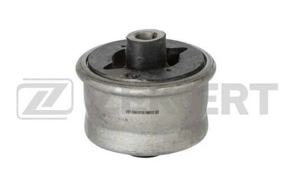 Mounting, control/trailing arm (GM-5118)