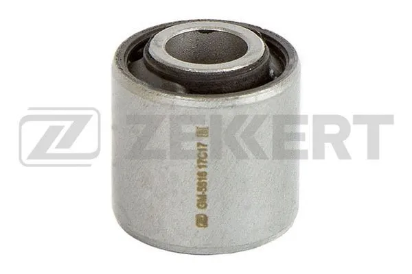 Mounting, control/trailing arm (GM-5616)