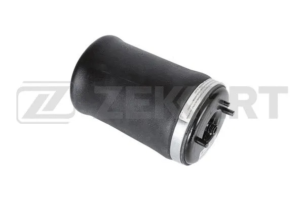 Air Spring, suspension (LD-1395)