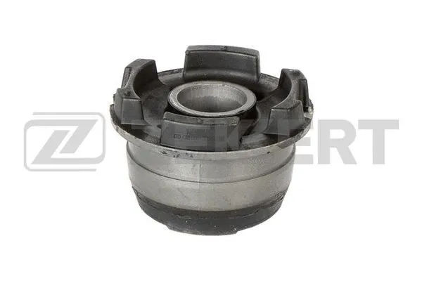 Bushing, axle beam (GM-6664)