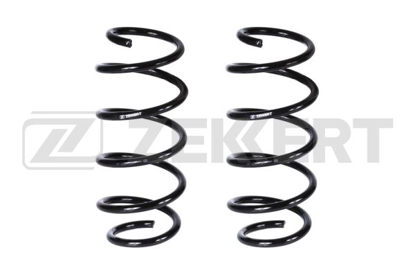 Suspension Spring (SF-2163)