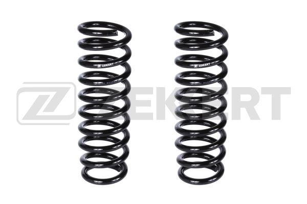 Suspension Spring (SF-2192)