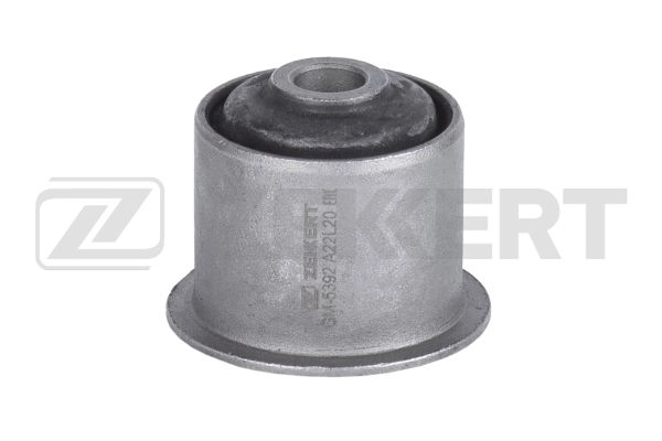 Mounting, control/trailing arm (GM-5392)
