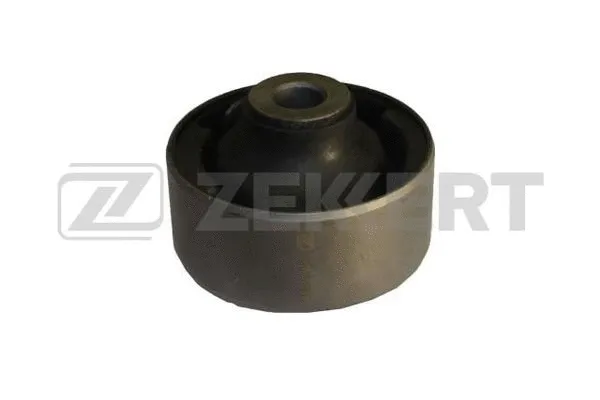 Mounting, control/trailing arm (GM-5516)