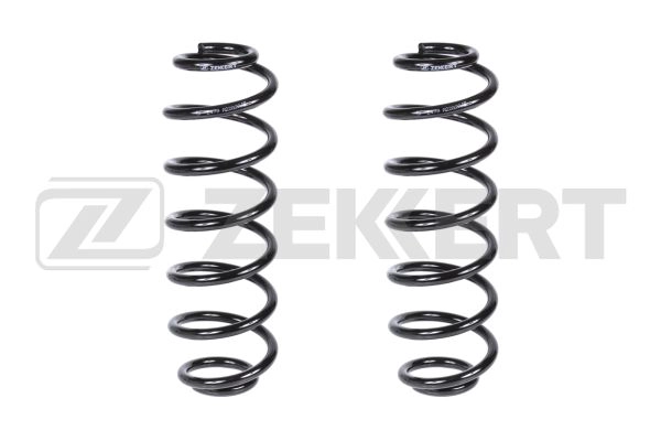 Suspension Spring (SF-2479)