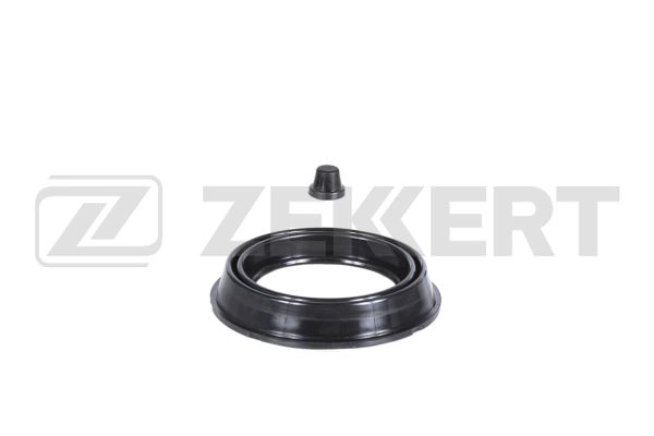Repair Kit, brake caliper (BR-1242)