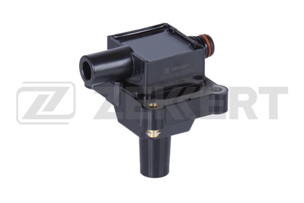 Ignition Coil (ZS-1004)