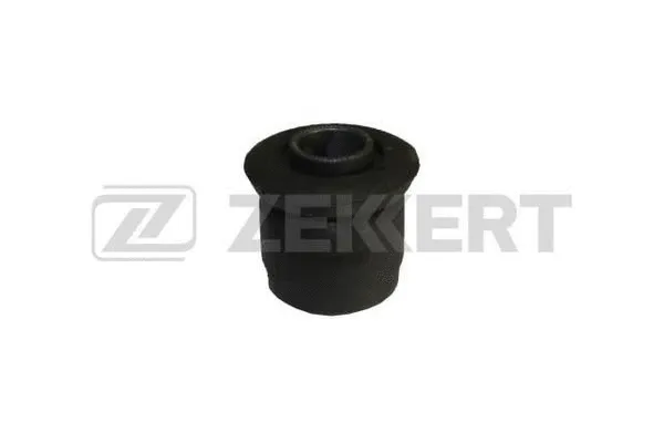 Mounting, control/trailing arm (GM-5591)