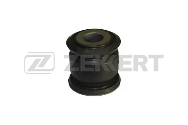 Mounting, control/trailing arm (GM-5834)
