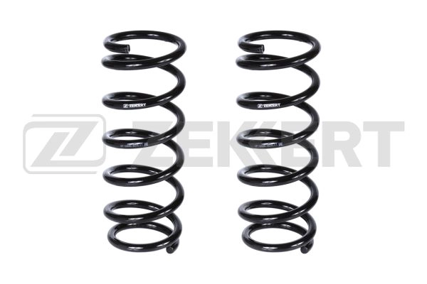 Suspension Spring (SF-2446)