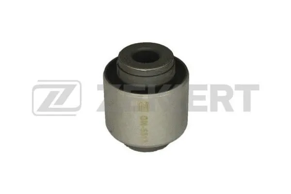 Mounting, control/trailing arm (GM-5513)