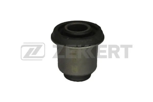 Mounting, control/trailing arm (GM-5360)
