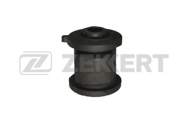 Mounting, control/trailing arm (GM-6013)