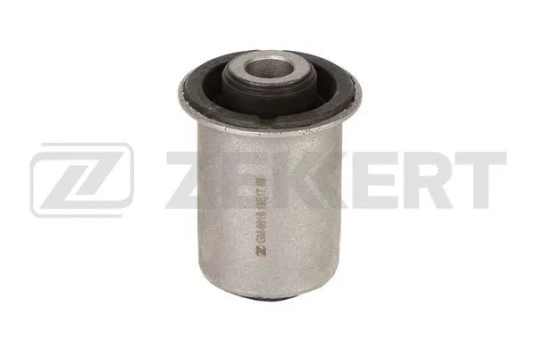 Mounting, control/trailing arm (GM-6919)