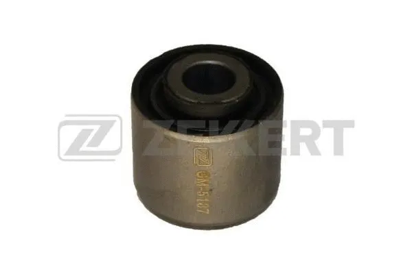 Mounting, control/trailing arm (GM-5187)