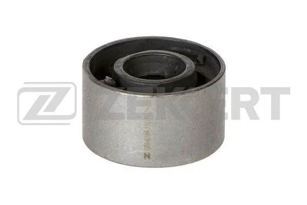 Mounting, control/trailing arm (GM-6184)