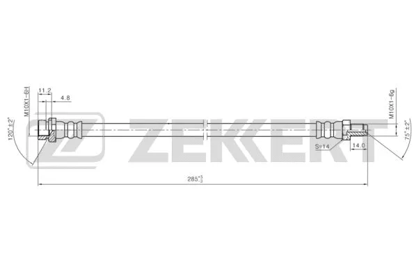 Brake Hose (BS-9466)