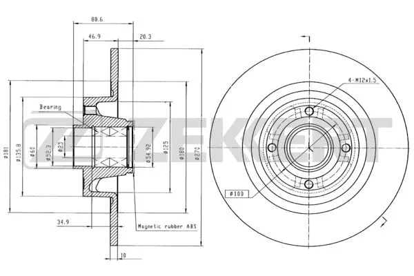 Brake Disc (BS-5213BZ)
