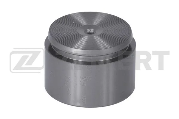 Piston, brake caliper (BR-1569)
