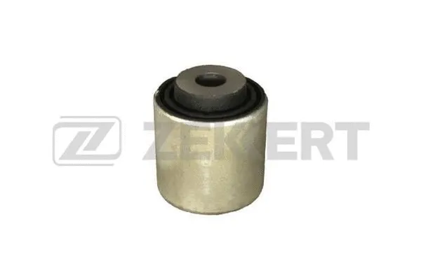 Mounting, control/trailing arm (GM-5195)