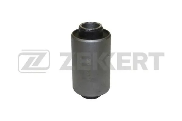 Mounting, control/trailing arm (GM-5371)