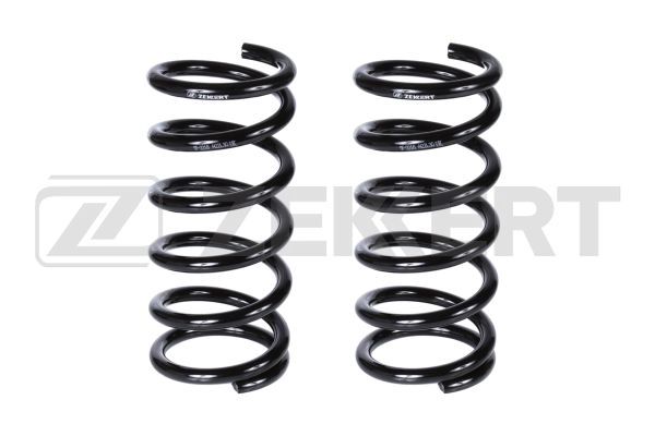 Suspension Spring (SF-2216)