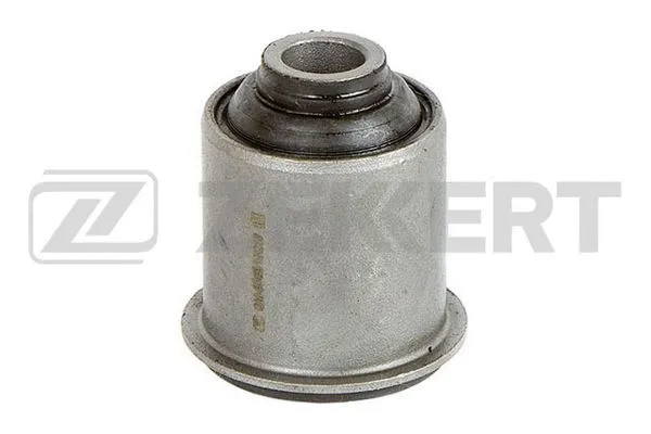 Mounting, control/trailing arm (GM-5745)